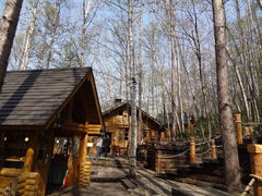 䂤񂳂̃VbsO[hujOeXvւ̓eʐ^1