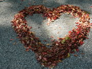 |bv̗{_ cxݏ {OX̓eʐ^2