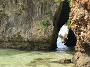 炭̈ɌԃTr`ߓ̓eʐ^1