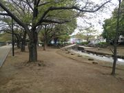 �A���_�[����̊C�V���s�k�������̓��e�ʐ^1