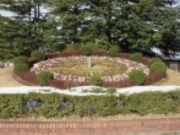 ߂̂₳̏Ri쌧sj̓eʐ^1