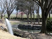 Ƃ񂳂̓̉w ߍ]̗̓eʐ^4