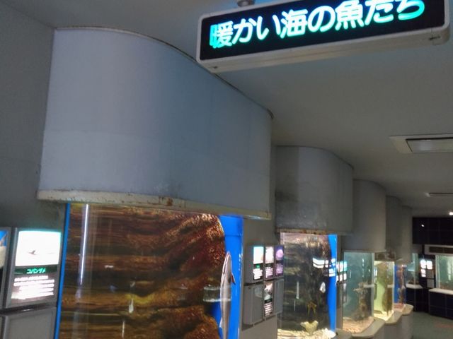 ������_�V�����ۂ�T���s�A�U������