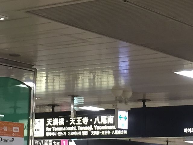 �J����_���~�c�w�i���s�c�n���S�J�����j