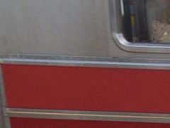 ��₳��̓��}��䒬�� �����w�ւ̓��e�ʐ^1