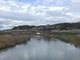 けいこさんの城山公園と江合川堤防の桜の投稿写真1