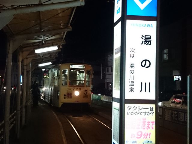 ���̐�w_���̐쉷��