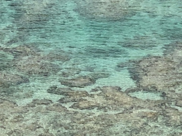 ���Ȃ���̈��̃o���^�̓��e�ʐ^1