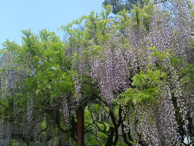 ponnkichȉZ_̓̓eʐ^1