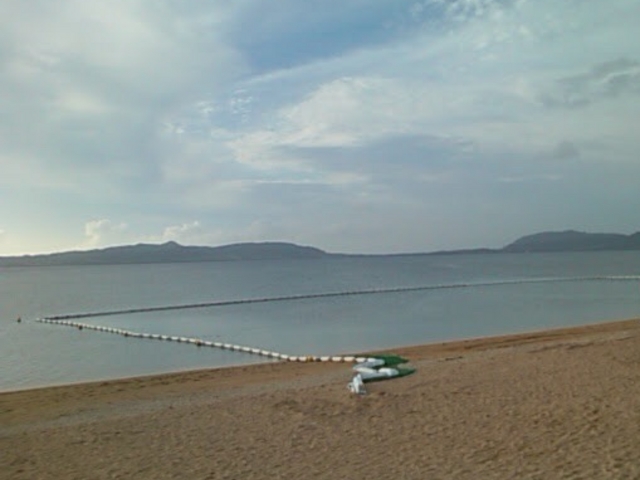 �V�j�G���A_�t�T�L�r�[�`