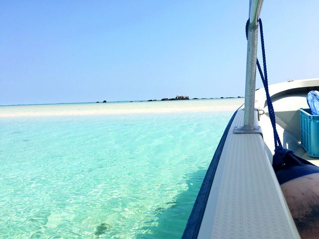 ���̓��ł��I_����ف[���X