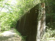 ibokororỉ͍̓eʐ^4