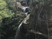 炳炳񂲂̍V̓eʐ^1