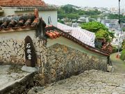 񂳂̎񗢋钬Ώ̓eʐ^2