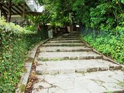 񂳂̎񗢋钬Ώ̓eʐ^5