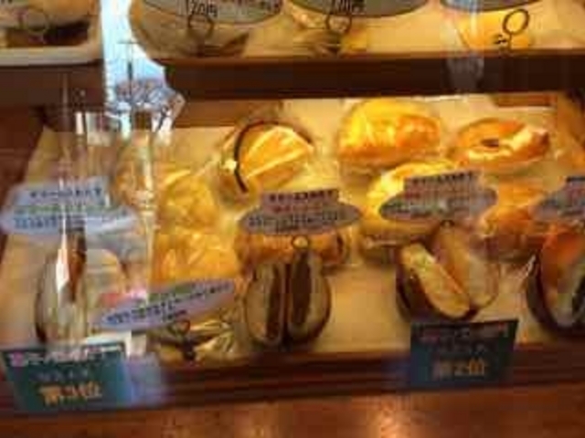 �A�L������̏Ó�J���[�p���E�V�����Y�̓��e�ʐ^1