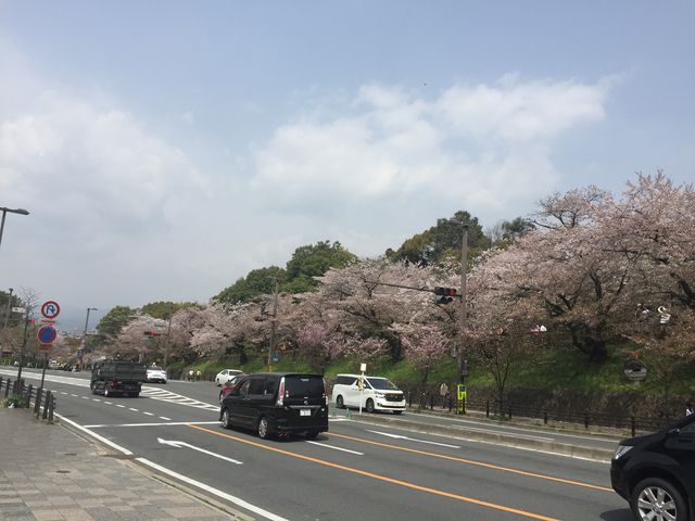 �n��ɏo��ƖڑO���L���Č�ʗʂ̑������H�B���̕��ɓn��̋�J���܂����[_���s�s�c�n���S ������ �R��w