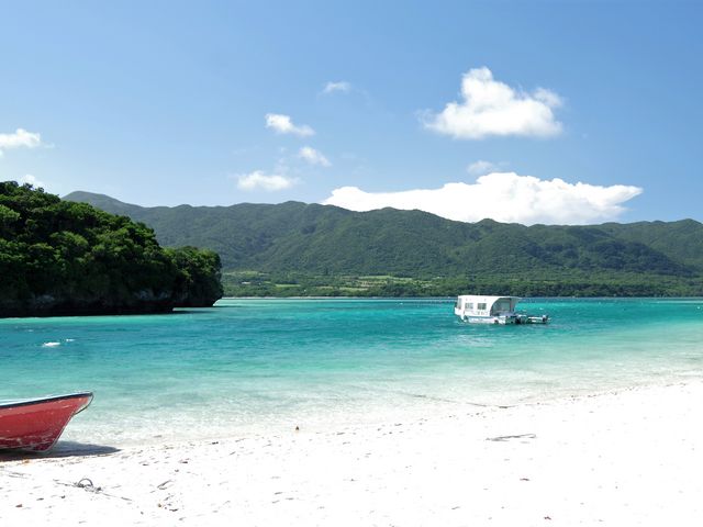 �약�p_�������ȁ[�Ί_��