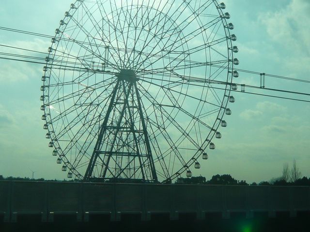 �ϗ���_�_�C���ƉԂ̑�ϗ���