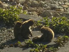 u[N{[̔g胂L[xCւ̓eʐ^1