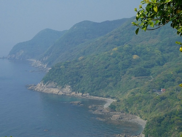 �R�����E���֎s�E�{�B�Ő��[�E�����m�@����̒��]_�����m�@