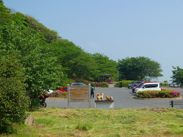 �R�����E���֎s�E�{�B�Ő��[�E�����m�@�@���ԏ�_�����m�@