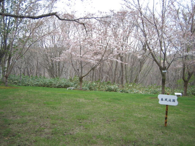 �˓c�扑�̍��@�܂����J�ł͂���܂���_�˓c�L�O��n����