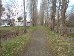 daimu̖k|v؂ւ̓eʐ^1