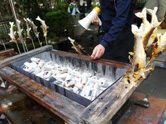 HR̖؂̉ԃKeւ̓eʐ^1