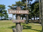 ̂˖т̐VٓVC̓eʐ^1