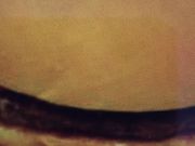 }J̃}Nhihsxt@X̓eʐ^1