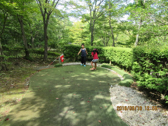 juñp[NAJfBA̓eʐ^1