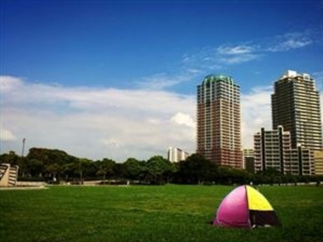 ������_���������C�l����