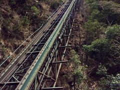 Ђ҂̘ȁhze@cJւ̓eʐ^1