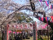 [񂳂̈ߊ}R̍̓eʐ^1