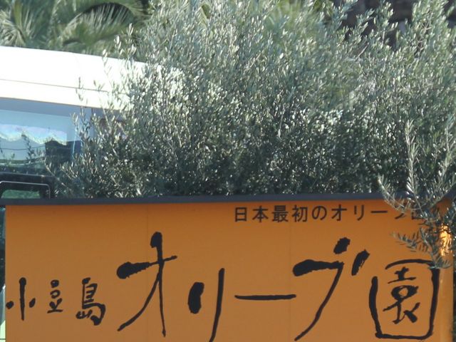 ���{�̃I���[�u�͔|�͂��̔_������n�܂����悤�ł�_�I���[�u��