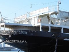 Ⴝ낤̓{XDXۂւ̓eʐ^1