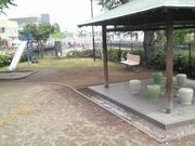 �܂��ǂ���̐��ˉ͌������̓��e�ʐ^1