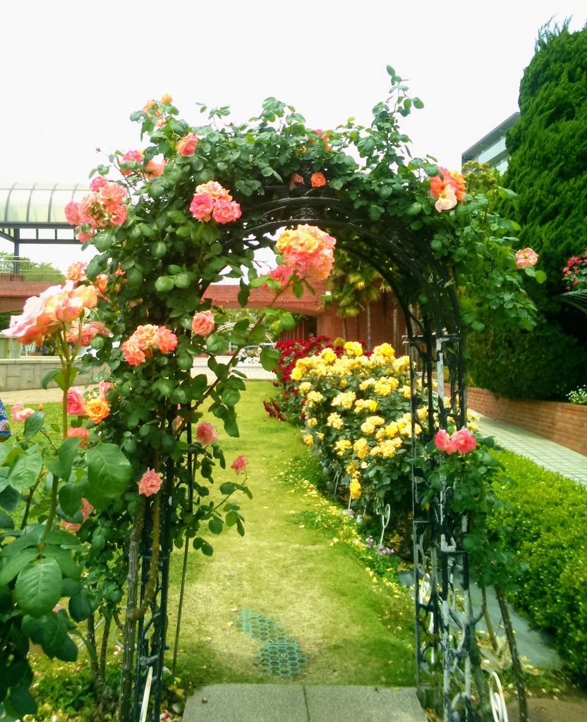 江戸川区の公園 庭園ランキングtop9 じゃらんnet