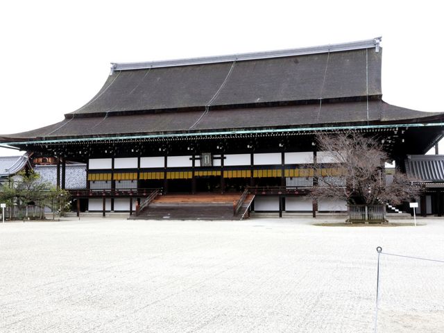 ����_���s�䏊