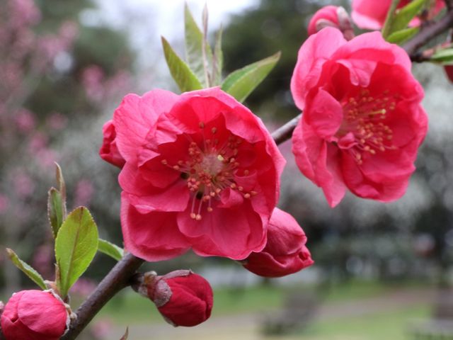 �g�~_���s�䏊