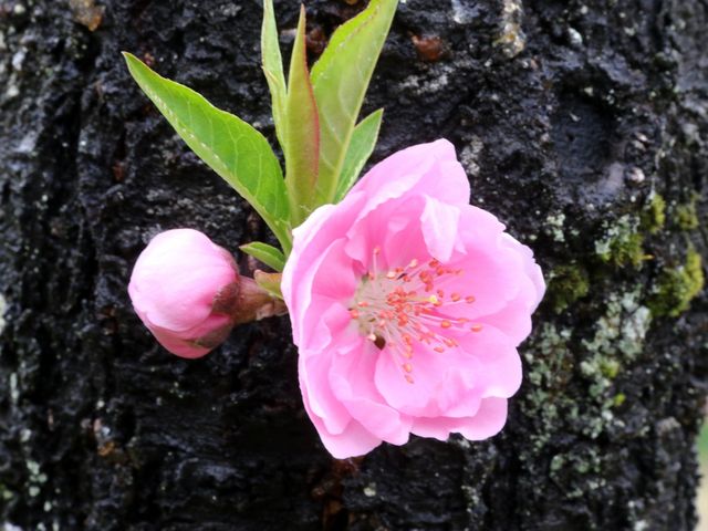 �W���s���N_���s�䏊