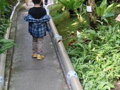 ܂낳̔Moiijւ̓eʐ^1