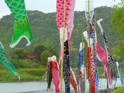 }bN̓̉w Ƃp[N܂̓eʐ^19