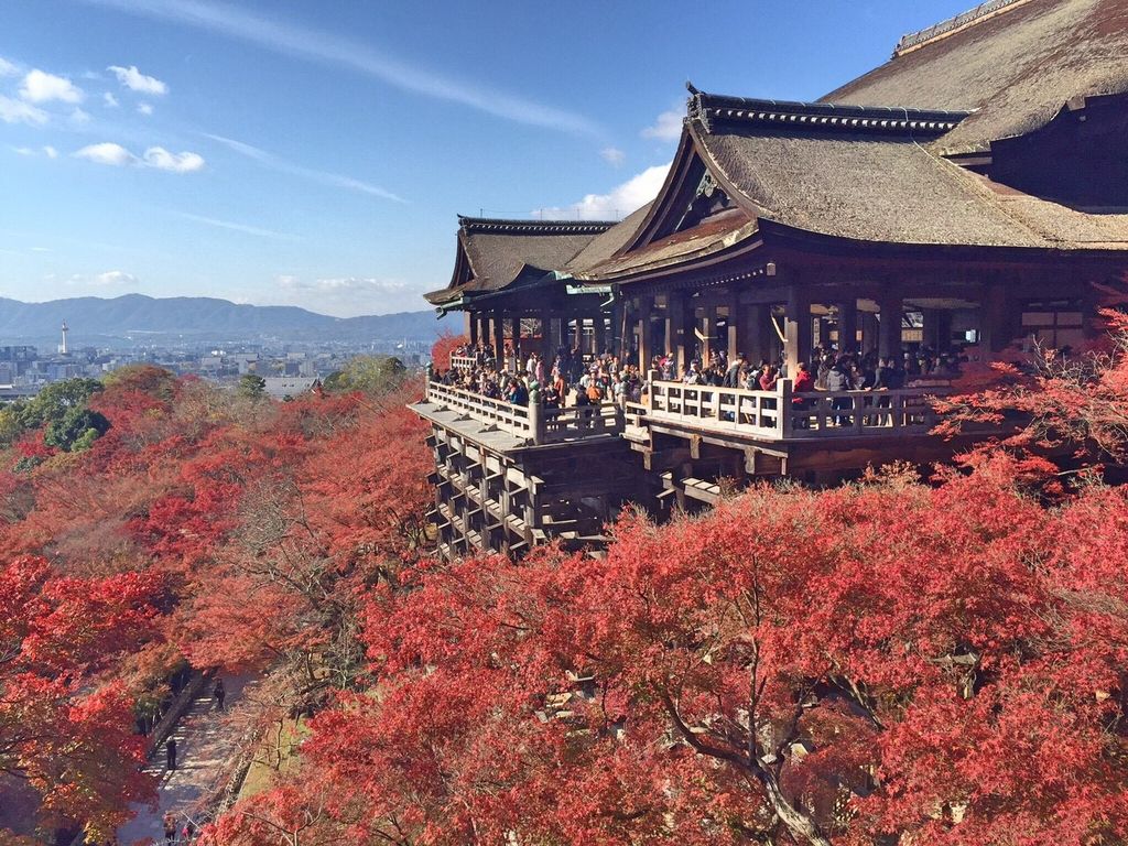秋に行きたい 京都 おすすめ観光スポット19選 紅葉スポットも じゃらんニュース