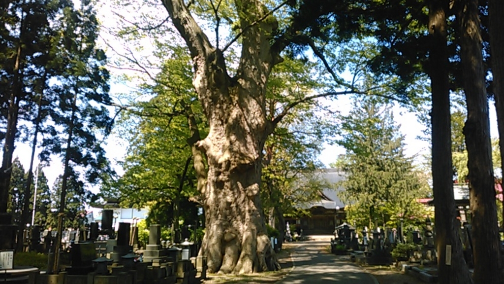 4de15_0004116676_2.JPG