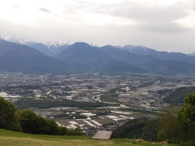 ����R�x�e�W�]��