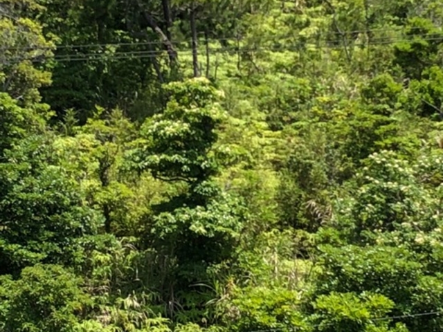 �؁X_���\���R�x�{��