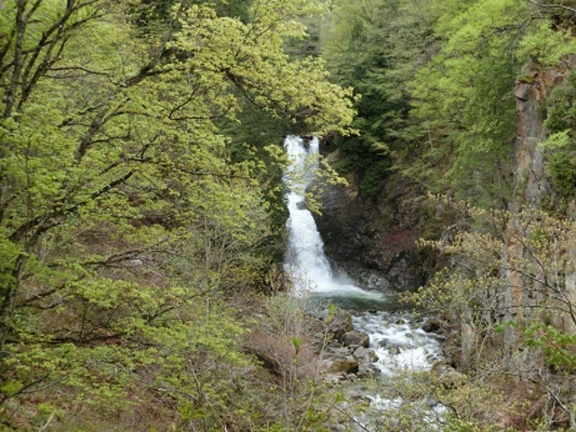 �߂��ɂ��锒�z���_����̏h ����