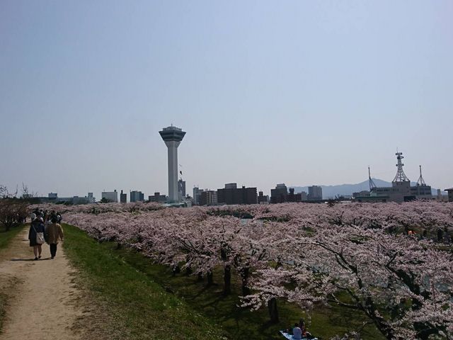 �y�肩��ቺ�Ɍ����_�ܗŊs����